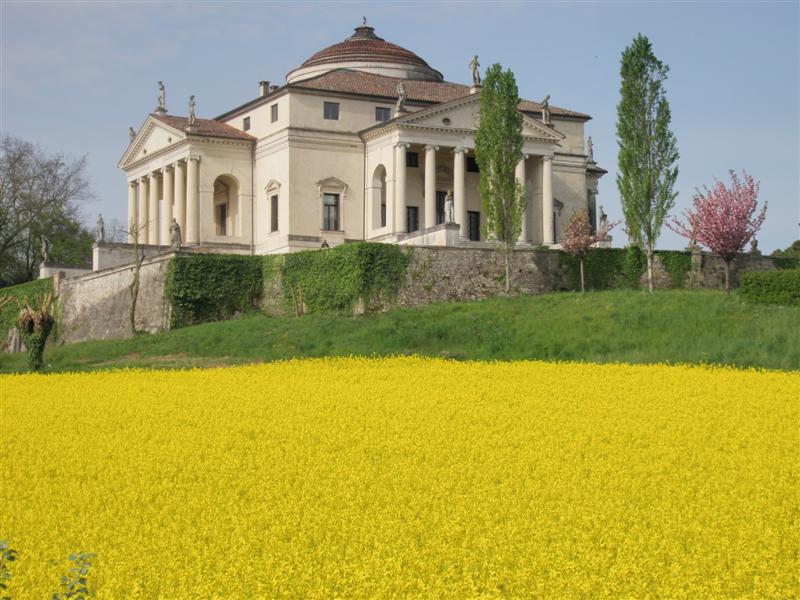 Villa La Rotonda, Vicenza, Italy, surrounded by a bright yellow rapeseed field. Foto di Sebastiano Romio