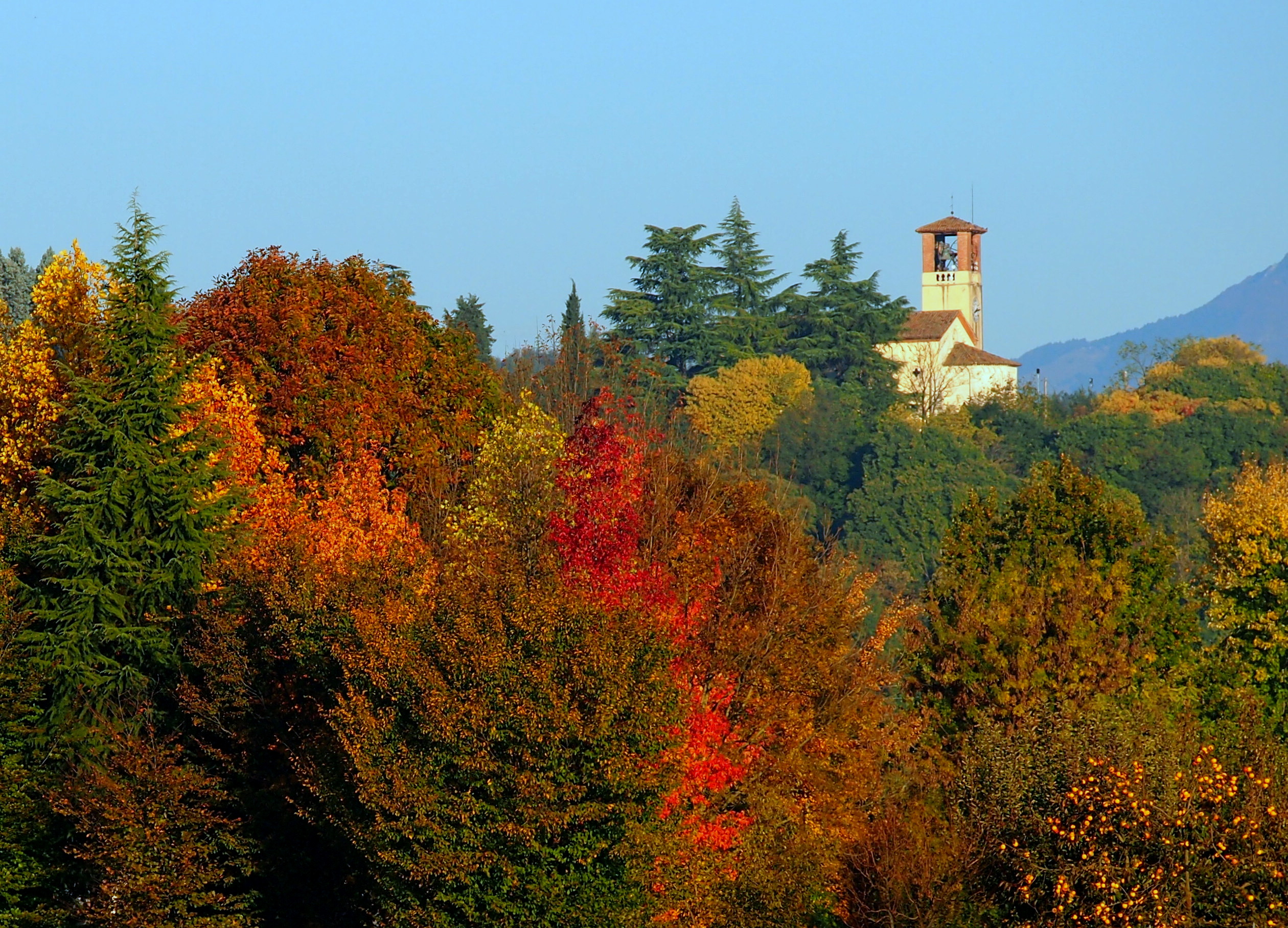 Foliage in Veneto a Costabissara